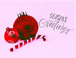 Seasons Greetings Free Stock Photo Public Domain Pictures Reach out to all your friends, family and loved ones with our season's greetings ecards to convey your warm wishes. seasons greetings free stock photo