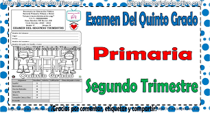 Formación cívica y ética grado 5° libro de primaria. Libro De Formacion Civica Y Etica 5 Grado 2020 Pdf Formacion Civica Y Etica 5to