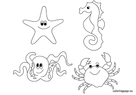 Browse & discover thousands of childrens book titles, for less. Sea Animals Coloring Page Ocean Coloring Pages Animal Coloring Pages Sea Animals Drawings