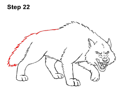 All you will need is a pencil, an eraser, and a sheet of paper. Side Wolf Drawing Angry Novocom Top