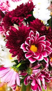 Pantone, the worldwide color authority, invites you on a rich visual tour of 100 transformative years. Color Trend Highlights Spring Summer 2021 Pantone