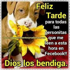 Con la tarde se va la mañana, pero hay que ver el lado bueno ya que también llegará la noche, y es en la noche. Feliz Tarde Para Todas Las Personitas Que Me Leen A Esta Hora En Facebook Dios Los Bendiga Frases De Buenas Tardes Buenas Tardes Mensajes De Buenas Tardes