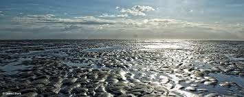 Näytä lisää sivusta wattenmeer facebookissa. Outdooractive Blog Naturraum Wattenmeer An Der Nordsee