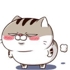 Pin On Cuki