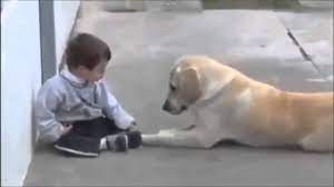 Raw Full Dog Determined To Make Friends With Boy With Down Syndrome Youtube