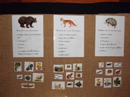 La Foret 3 Les Ateliers De Celeste Regime Alimentaire Des Animaux Classification Des Animaux Animaux Foret
