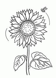 Flower Coloring Pages For Kids Prinable Free Coloring Pages Of Bee Coloring Pages Sunflower Coloring Pages Fall Coloring Pages