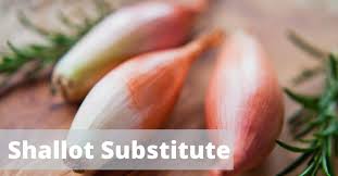 Containing receipts for plain cookery, on the most by william kitchiner (1845) eschalot sauce for boiled mutton. 6 Best Shallot Substitutes In 2021 Recipefairy Com