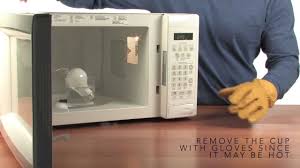 Microwave Light Bulb Sick Science 078 Youtube