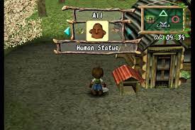 The most popular kitchen sage is called salvia officinalis. Guide Harvest Moon A Wonderful Life Fur Android Apk Herunterladen