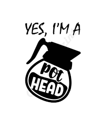 Yes, I'm a (Coffee) Pot Head | Karimoos Market