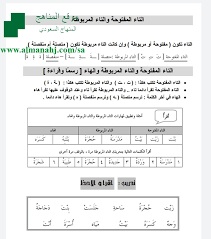 ورقة توضيحية للتاء المربوطة والتاء المفتوحة والهاء مرحلة ابتدائية لغة عربية الفصل الأول المناهج السعودية