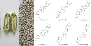 Image result for Sesamum calycinum