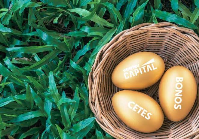 Qué es diversificar? Regla de oro al invertir ▷ WORTEV CAPITAL