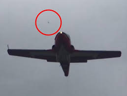 Hyemalis in the eastern united states; Cf Snowbirds Page 3 Canadian Aviation News