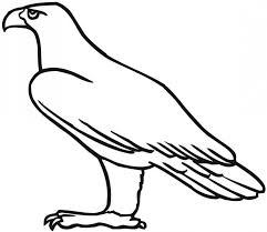 Step by step drawing tutorial on how to draw an eagle for kids it belongsto the prey family. Pictures Of Eagles To Color Coloring Home