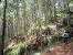 Camp John Hay Map