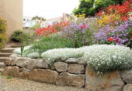 Naturstein Trockenmauer Bepflanzen Geignete Pflanzen Fur Mauerfugen Naturstein Trockenmauer Bepflanzen Geignete If Y In 2020 Trockenmauer Steinmauer Garten