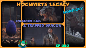 Hogwarts Legacy ep 050 - Dragon Egg & Trapped Dragon - YouTube
