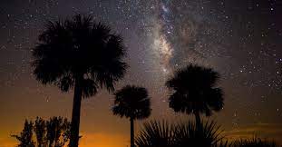 First time i saw one spend time out in the open, other than just crossing — lots of photo ops. Kissimmee Prairie Preserve State Park Named Florida S First Dark Sky Place International Dark Sky Association