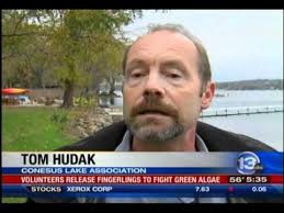 WHAM 13 interviews Tom Hudak (Scales and Tails) about repopulating fish