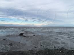 Alaska Bay Mud Ocean Anchorage Summer Low Tide By Angie Lawson Meudt Photo Stock Snapwire