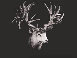 Photo guide to scoring mule deer muley freak. The Broder Buck The World Record Non Typical Mule Deer Realtree Camo