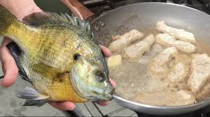 Dip fish in melted butter, then coat well with crumb mixture. Bluegill Catch And Cook Challenge With Sharky Iii Reel By Kastking Youtube