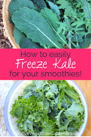 Pin On Vegetable Garden Tips From The Blog
