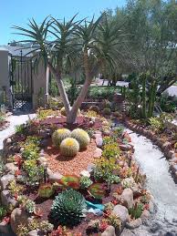 E24b8a21567f041b9e7157460b554854 Jpg 640 853 Pixels Rock Garden Landscaping Succulent Landscaping Succulent Landscape Design