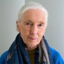 Jane Goodall Obituary and Online Memorial (2025)