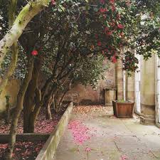 Camellia House Wentworth Woodhouse House Conservatory