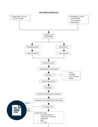 Meningitis is a clinical syndrome characterized by inflammation of the meninges. Pathophysiology Bacterial Meningitis 2 Meningitis Bacterial Meningitis Nursing Notes