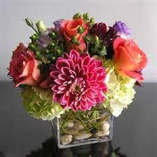 Check spelling or type a new query. Blaine Florist Blaine Mn Flower Shop Addie Lane Floral Gifts
