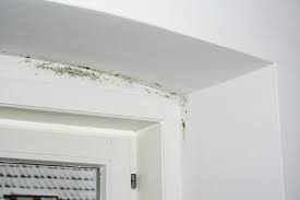 Eine luftfeuchtigkeit von 50 prozent ist in wohnräumen optimal. Welche Risiken Bestehen Bei Schimmel In Der Wohnung Gesundheit Medizin Und Sport Tipps Von Frauen Fur Frauen