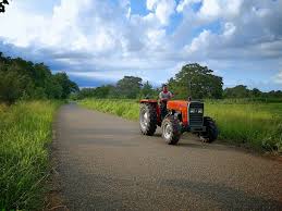 Tough Versatile And A Power Packed Performer It Doesn T Get Better Than The Tafe 45 Di Tractor In Its Tractor Manufacturers Monster Trucks Country Roads