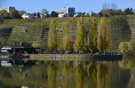 Der see ist rund 600 m lang. Der Max Eyth See In Stuttgart War An Den Feiertagen Ein Beliebtes Ausflugsziel Stuttgarter Zeitung