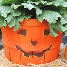 Beautiful and so pretty for the season. 60 Cheap And Easy Diy Outdoor Fall Decorations Prudent Penny Pincher