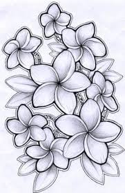 Black And White Plumeria Tattoo Google Search Plumeria Tattoo Hawaiian Flower Drawing Flower Drawing