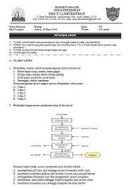 Check spelling or type a new query. Pembahasan Soal Usbn Biologi Sma Tahun 2019 Blog Pak Pandani