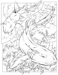 Shark identification summary illustration by angela halasey the blacktip reef shark (carcharhinus melanopterus) is found in shallow, tropical waters. Coloring Book Animals J To Z Shark Coloring Pages Coloring Books Coloring Pages
