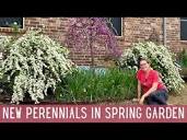 New Perennials In The Spring Garden 🌸 || Garden Clean Up ...
