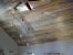 Blue Stain Pine Wall