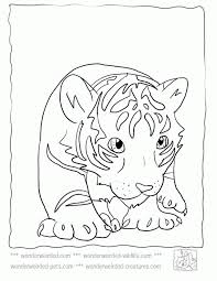 With thousands of names in our handbook, choosing the right on just got easier! Baby Tiger Coloring Pages Coloring Home