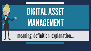 Digital asset management helps teams organize virtual images and files crucial to production and project management. What Is Digital Asset Management What Does Digital Asset Management Mean Youtube