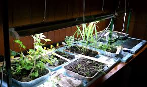 For regulating and controlling the supply of energy needed to power the light. Keys To Lighting Your Indoor Gardening System Gardenerd