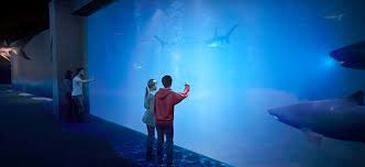 Atlanta, june 13 — for the second time in five months, the georgia aquarium is mourning one of its stars, a young whale shark named norton who was euthanized by veterinarians early wednesday. In Downtown Atlanta Georgia Aquarium S 100 Million Shark Exhibit Wraps Vertical Construction Curbed Atlanta