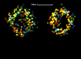 Eto ds(1), gordon hb, dhakal bk, jones ta, mulvey ma. Single Molecule Imaging Reveals The Structure Of Clathrin Coated Pits At Sub 20 Nm Resolution