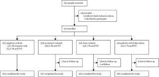 What happens during a tuberculosis skin test and what do the results mean? Safety And Efficacy Of The C Tb Skin Test To Diagnose Mycobacterium Tuberculosis Infection Compared With An Interferon G Release Assay And The Tuberculin Skin Test A Phase 3 Double Blind Randomised Controlled Trial