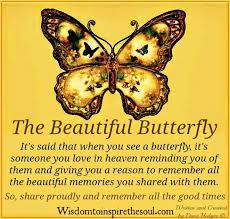 The Beautiful Butterfly It 39 S Said That When You See A Butterfly It 39 S Someone You Love In Heave Butterfly Quotes Beautiful Butterflies Butterfly Poems